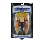Jakks Pacific Wwe Shawn Michaels Summerslam Road To Wrestlemania 23 Figure New. Price: $20.99.